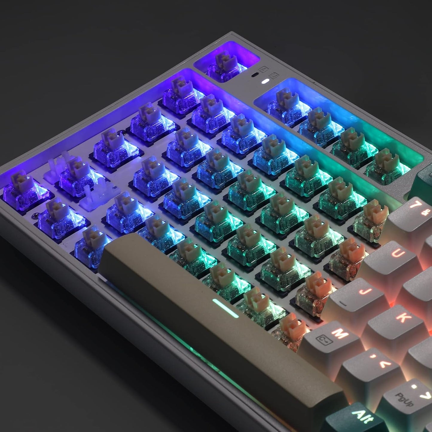 Redragon A113 HP1 Panda Mechanical Keyboard Switches, Lubed Tactile Switches for Keyboard DIY, 3pin 60gf RGB MX Compatible Switches with Puller(38 pcs)